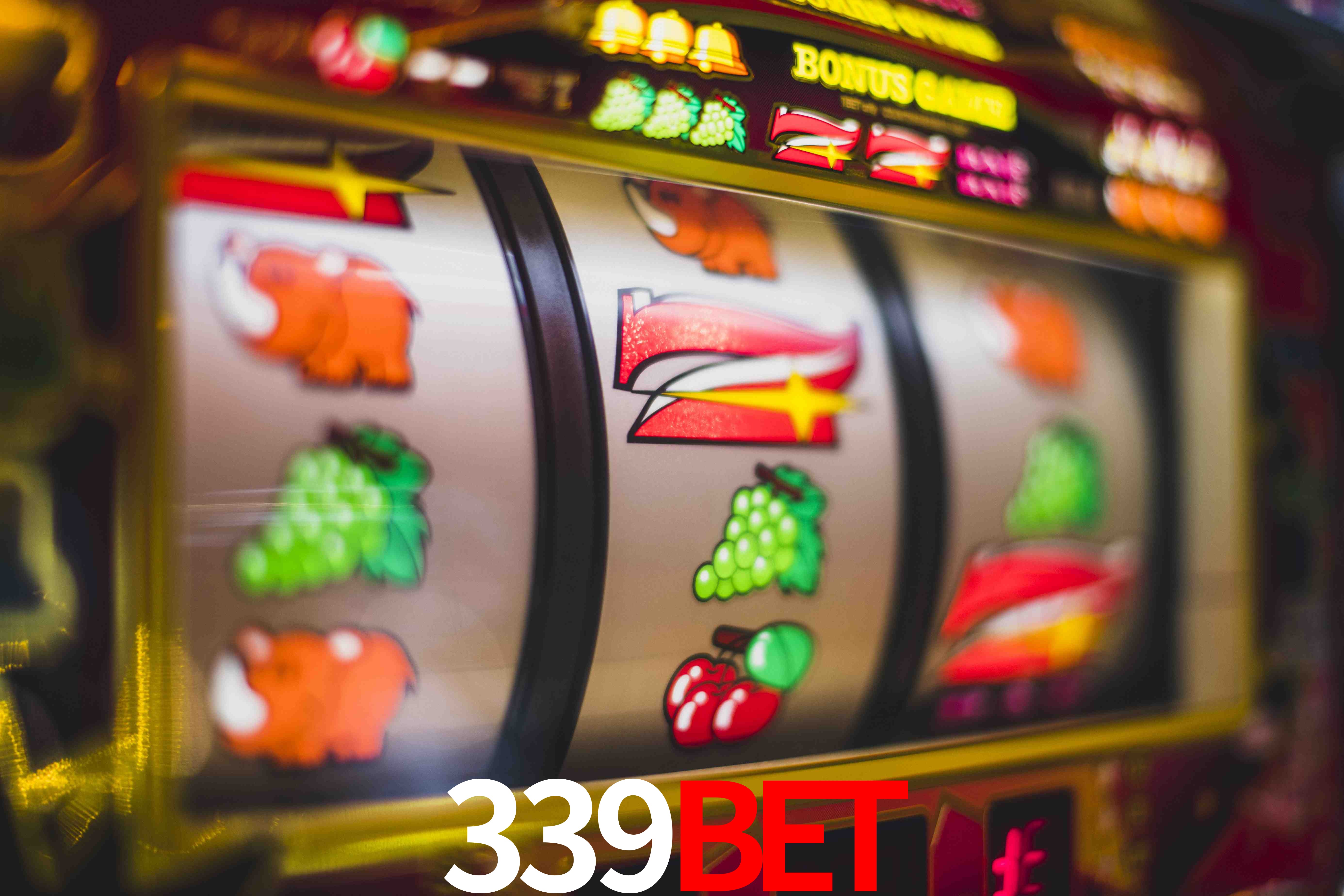 Basketball Betting 339BET